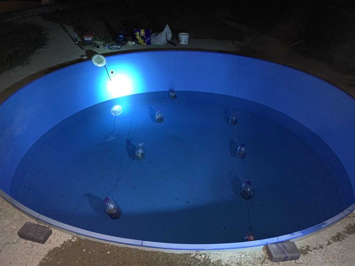 Как хранить каркасный бассейн зимой: советы с форумов и от специалистов