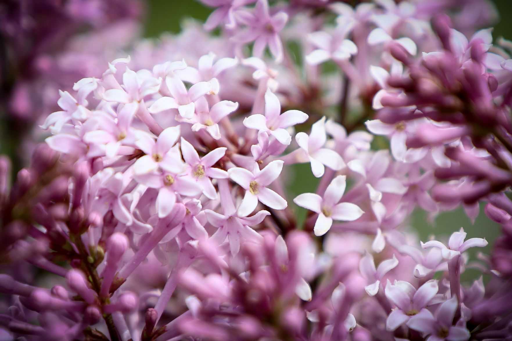 От чего зависит температура почвы кратко