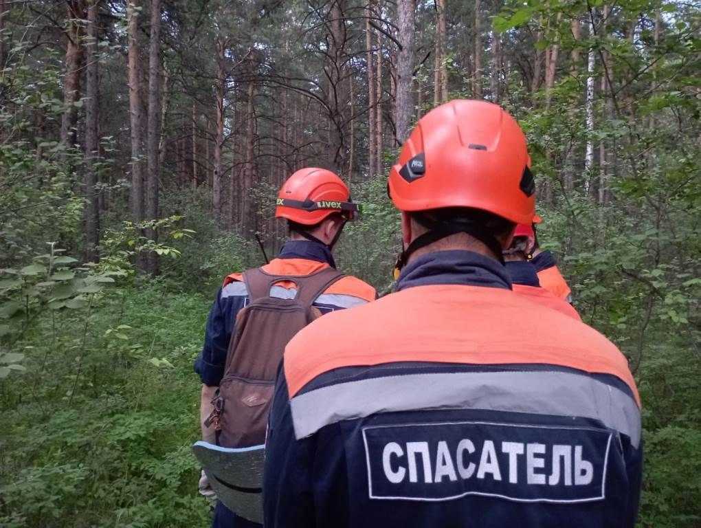 От чего зависит температура почвы кратко