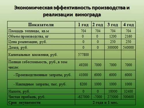 Виноградарь и виноградарство - литература по выращиванию технического винограда как бизнес