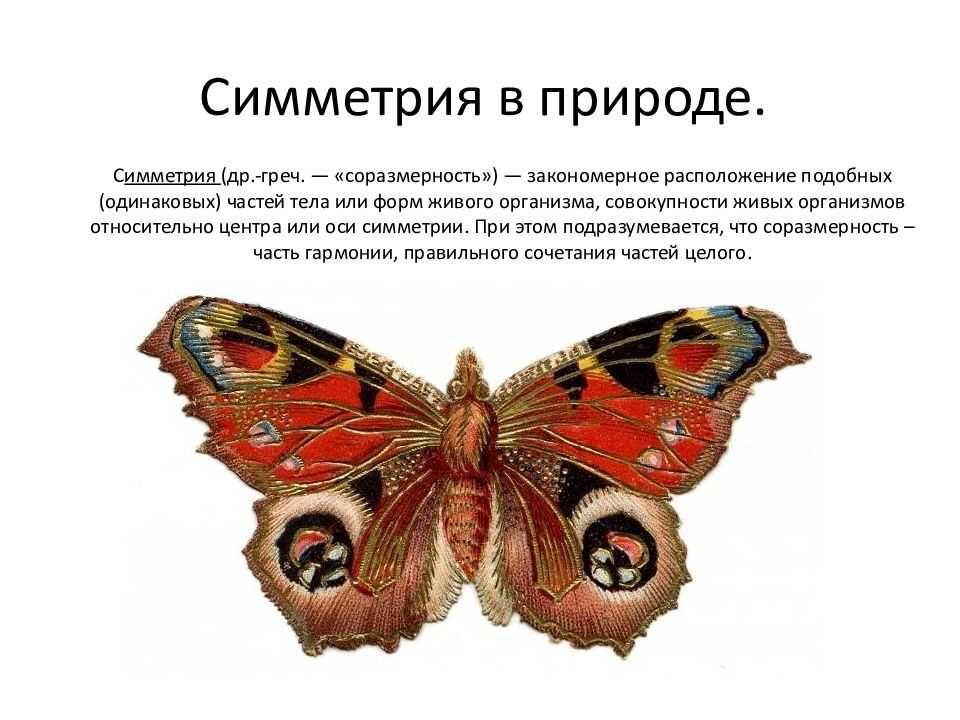 Презентация на тему "что такое симметрия? какие точки называются симметричными?" по математике для 11 класса
