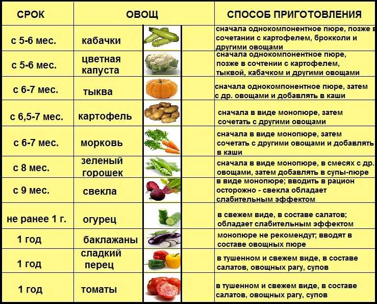 Со скольки месяцев можно давать борщ ребенку