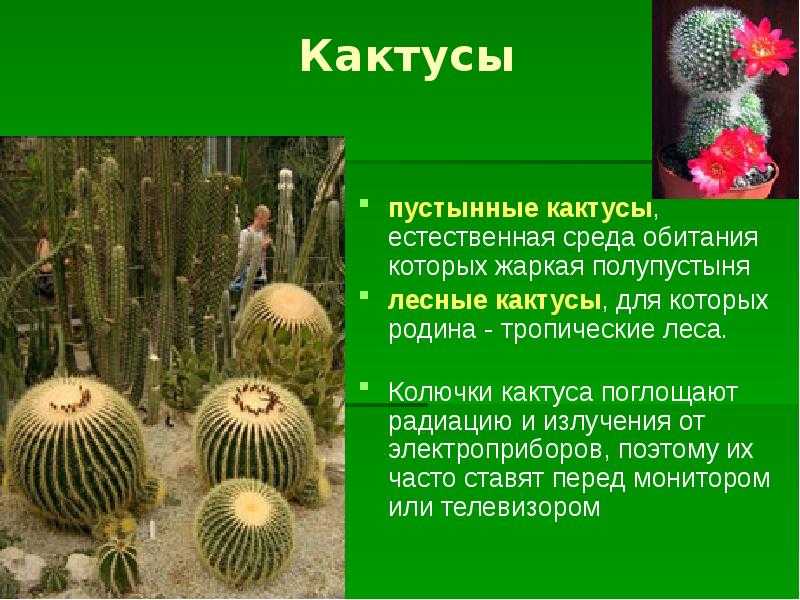 Виды приспособленности