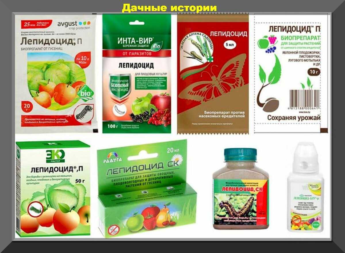 Можно ли защитить урожай от болезней и вредителей без химии – разбираемся, чем обрабатывать огород!