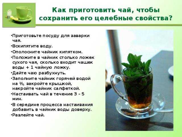 Кавказский рододендрон: полезные свойства и противопоказания