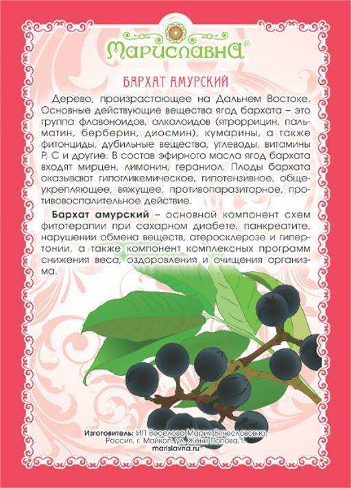 Амурский бархат – жемчужина вашего здоровья! (+фото)
