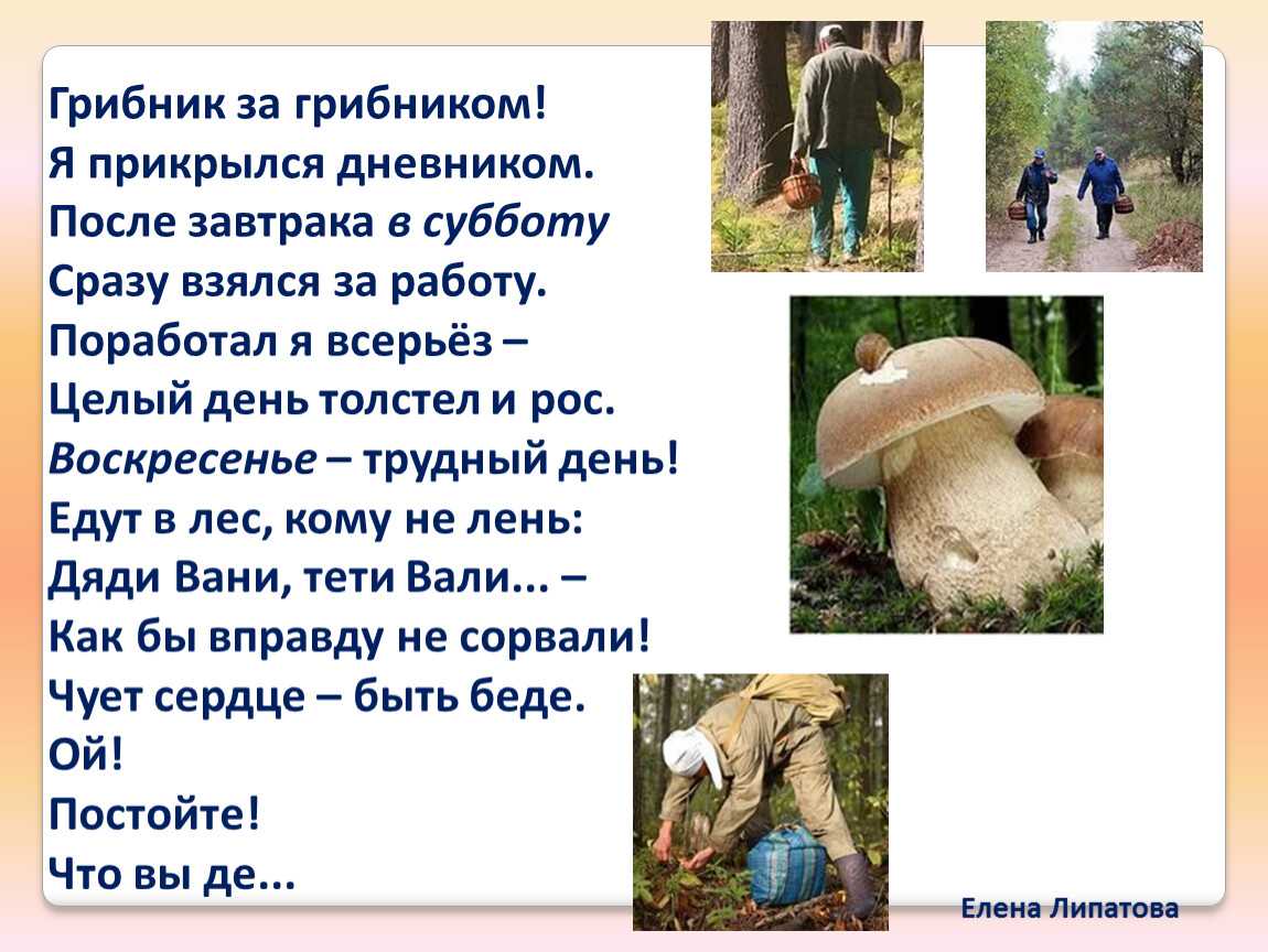 Грибы в сметане — 10 безумно вкусных рецептов