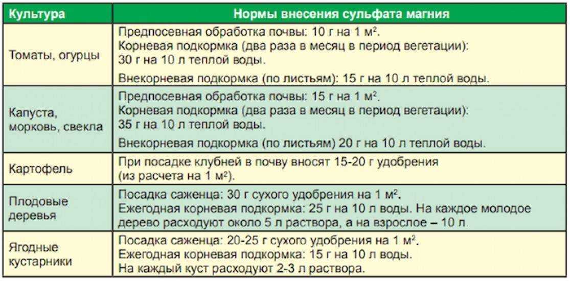 Цикламен - выращивание и уход за цветком в домашних условиях