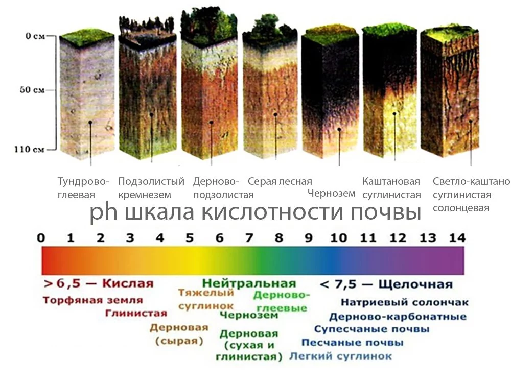 Топ натуральных удобрений в шаговой доступности – советы «зеленой грядки» — агроxxi