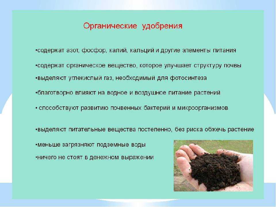 Как вносить навоз в зависимости от вида, когда осенью или весной