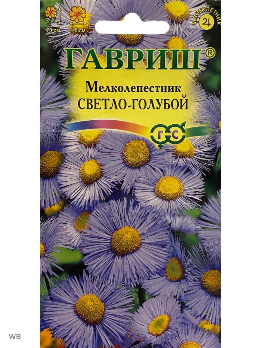 ᐉ мелколепестник канадский - полезные свойства, описание - roza-zanoza.ru
