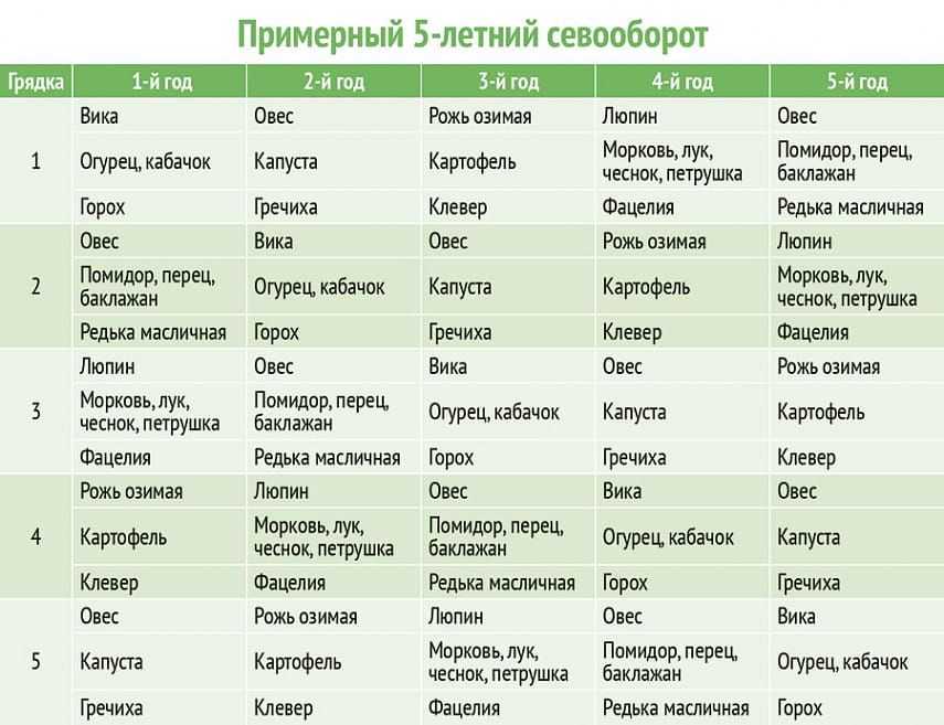 Схема чередования культур в севообороте в поле в таблице