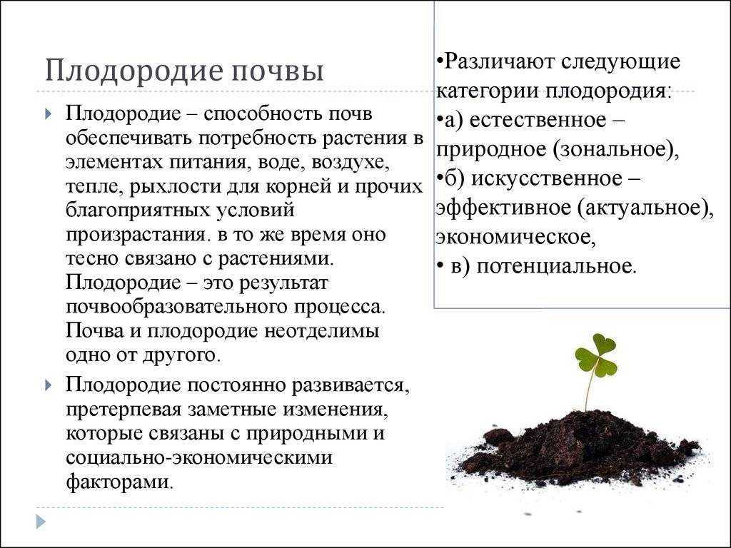 Что такое плодородие почвы?