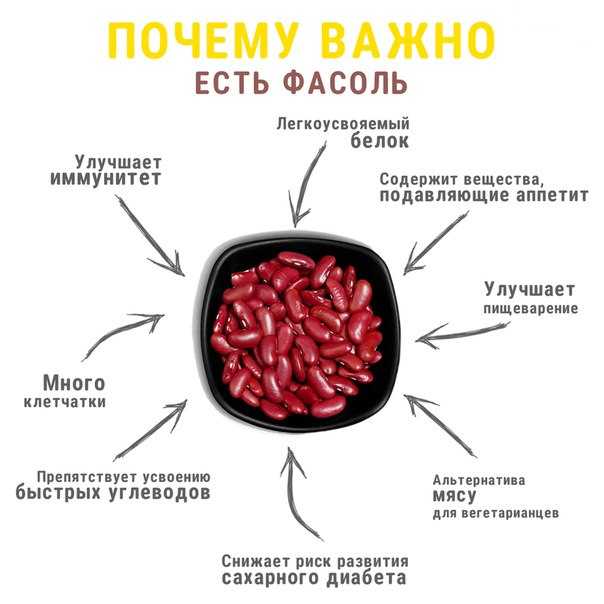 Как хранить фасоль в домашних условиях: проверенные способы. как правильно сохранить фасоль на зиму в домашних условиях