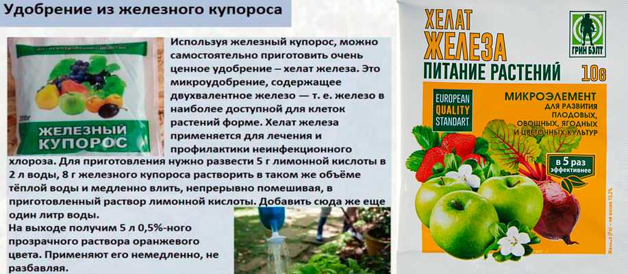 Медный купорос: применение раствора в садоводстве