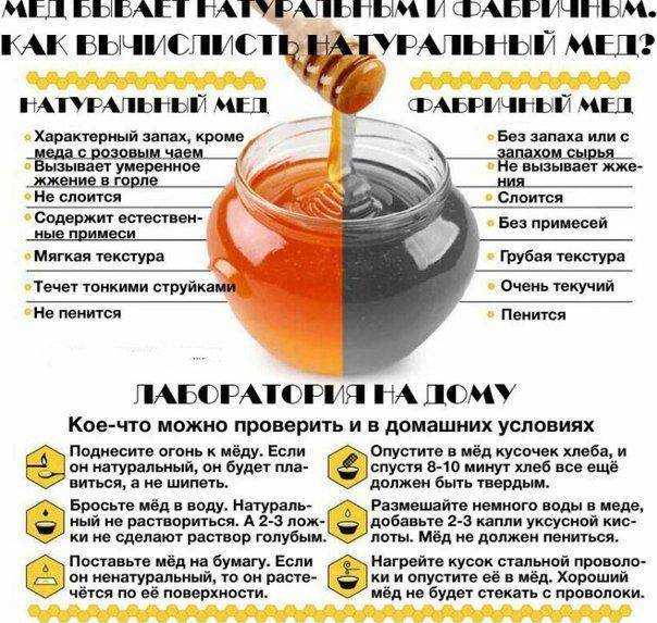Почему натуральный мёд ? быстро засахаривается, условия причины, факторы, должен ли мед сахариться и почему так происходит