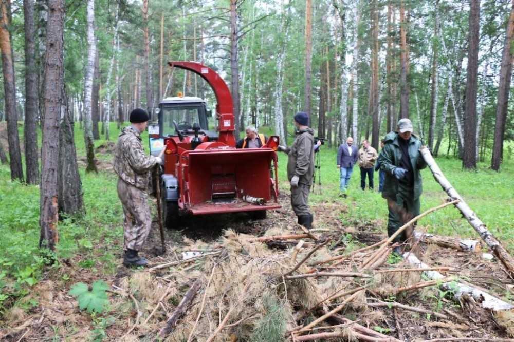 Бесплатный лес от государства на строительство дома