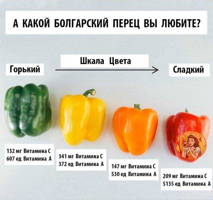 Почему перец не краснеет на кусту и что делать, чтобы он покраснел