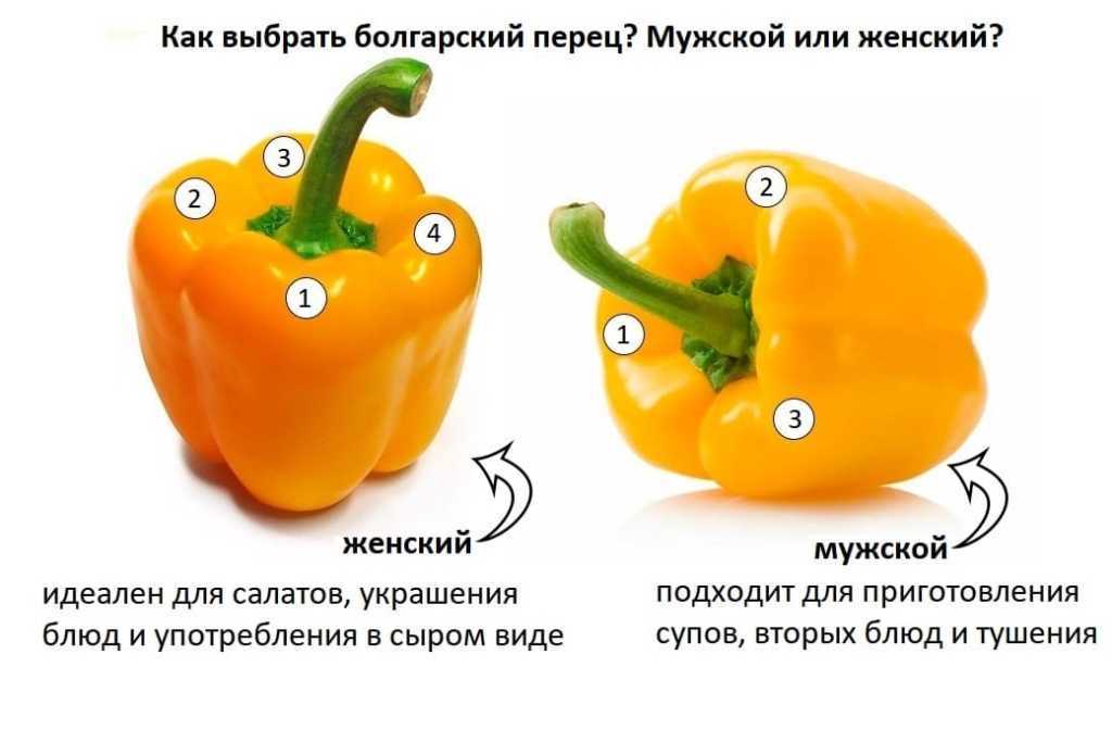 Как использовать недозрелый болгарский перец