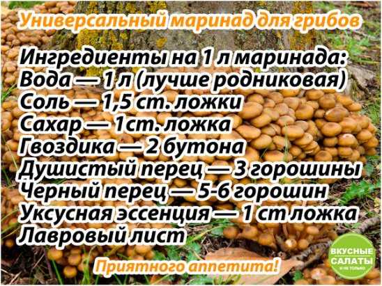 Как мариновать белые грибы в банках на зиму? 6 простых рецептов приготовления в домашних условиях