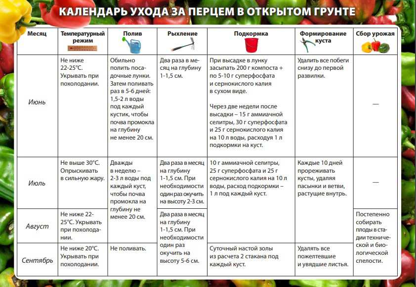 Почему не краснеет перец в теплице: выясняем причину и ускоряем созревание