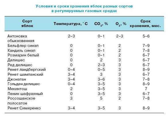 Как сохранить яблоки свежими зимой: сбор, обработка, подготовка помещения