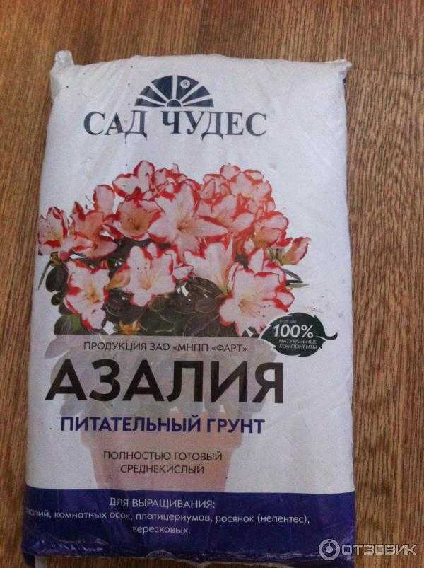 Грунт для азалий подходит для каких цветов - дачныйуголок
