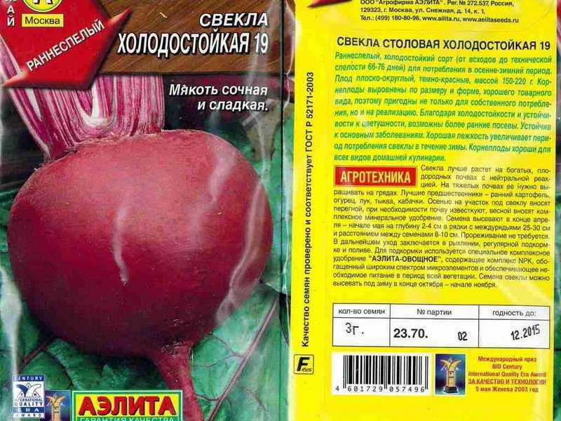 Лучшие и самые урожайные сорта свёклы в теплице и открытом грунте.