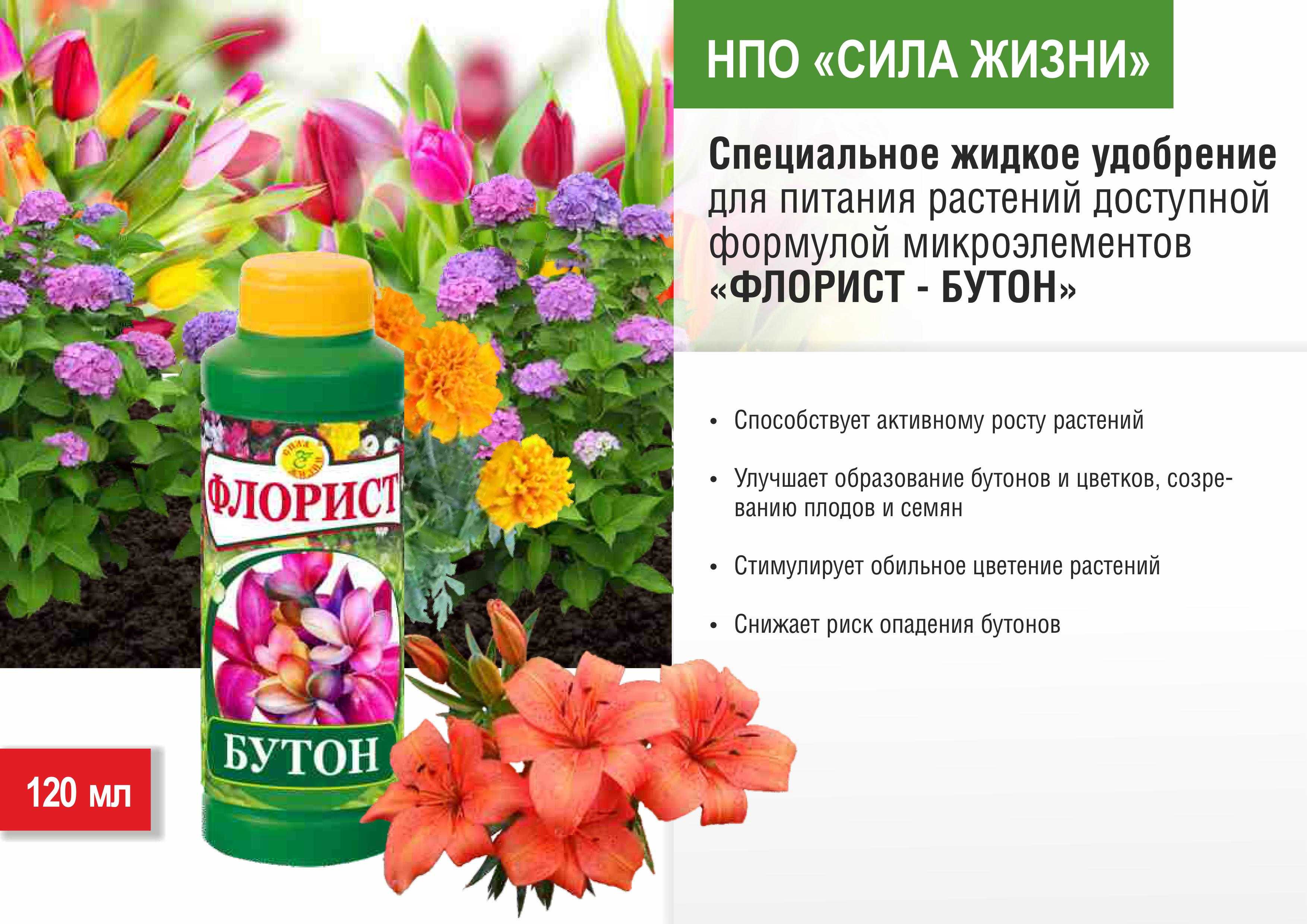 Домашние удобрения для комнатных растений: топ-20 средств!