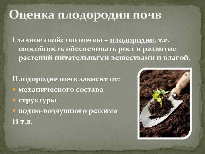 О плодородии почвы для начинающего садовода
