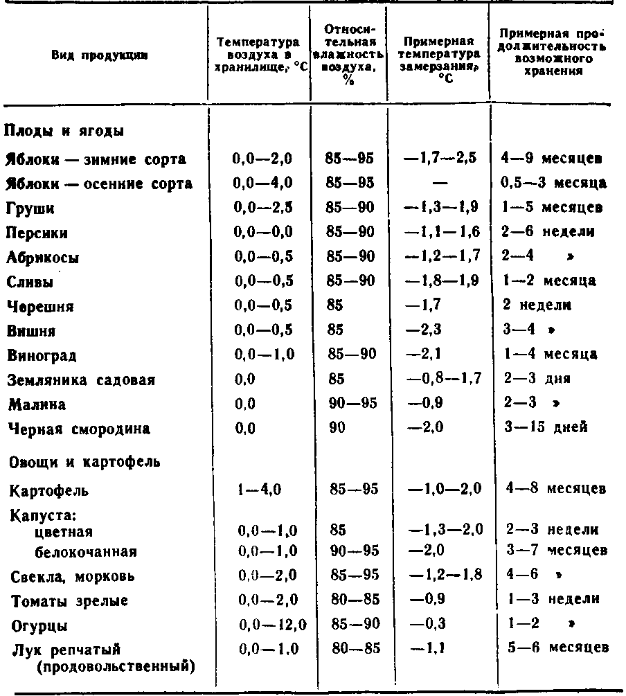 Хранение моркови: сорта, уборка, условия в зимний период