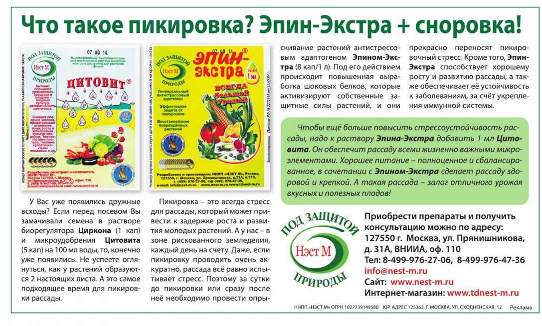 Препарат циркон: применение стимулятора роста для растений и отзывы