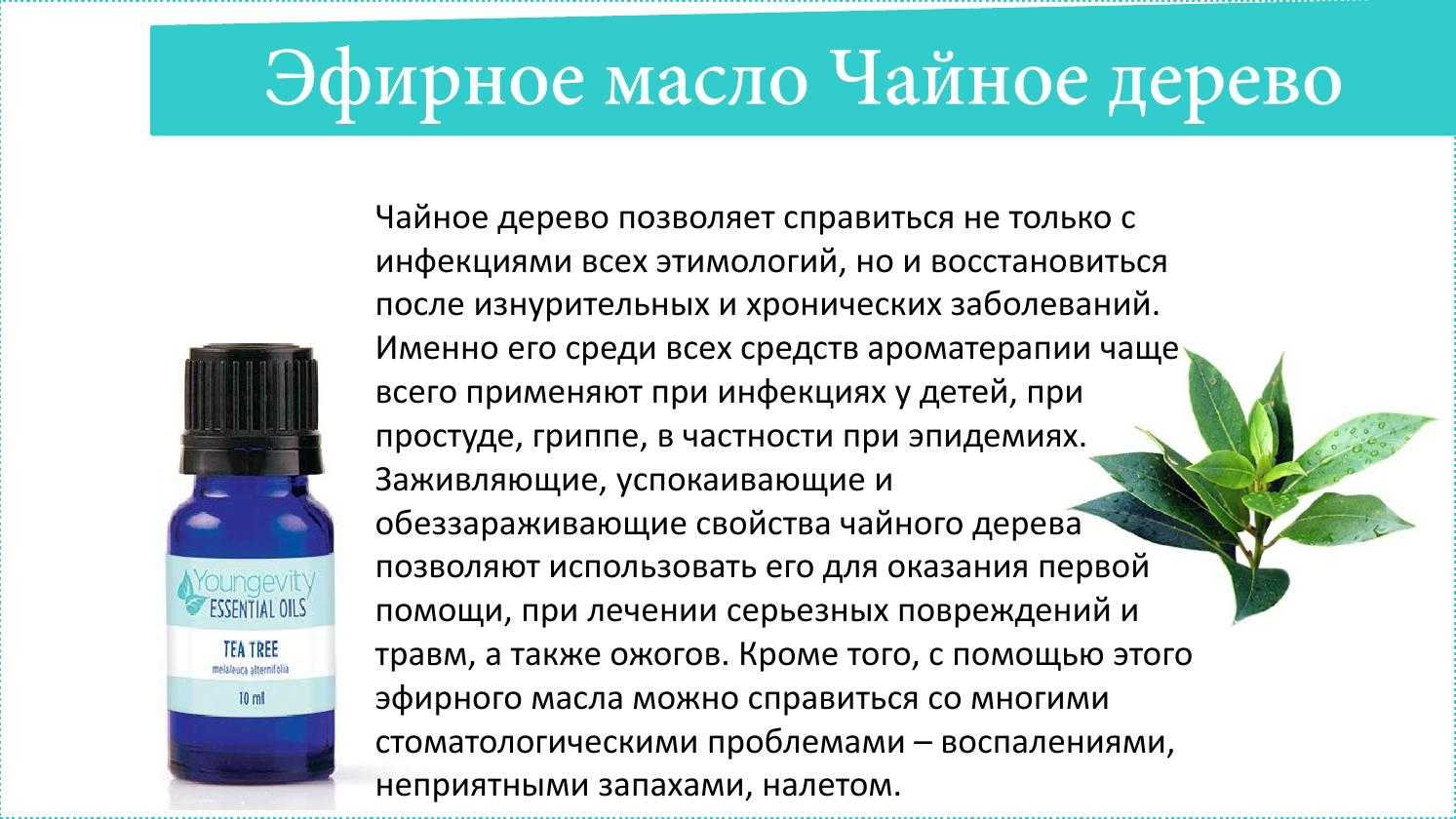 Все о растении гардения: магические свойства эфирного масла, чем полезен экстракт из стволовых клеток, ядовита ли?