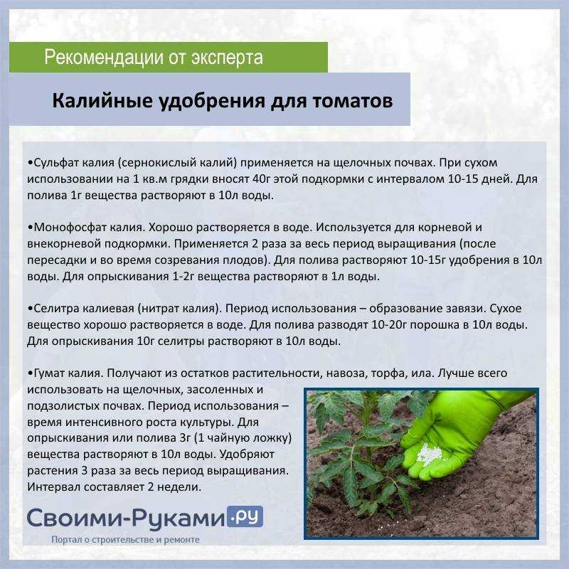 Можно ли использовать содержимое дачного туалета в качестве удобрения
