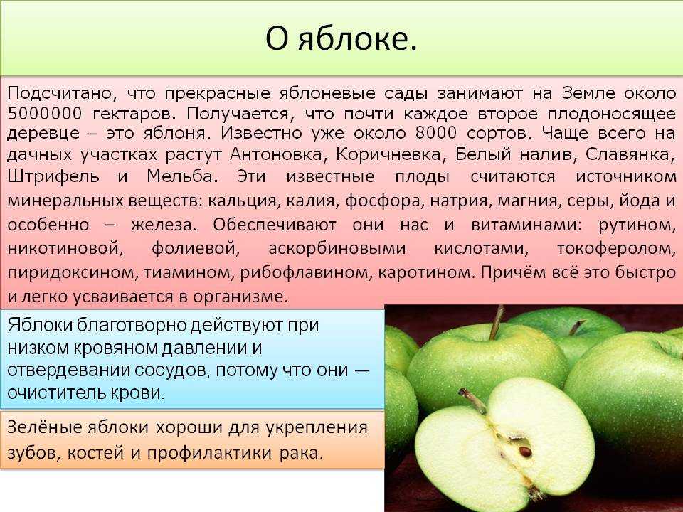 Сколько раз и на какой год после посадки плодоносит яблоня