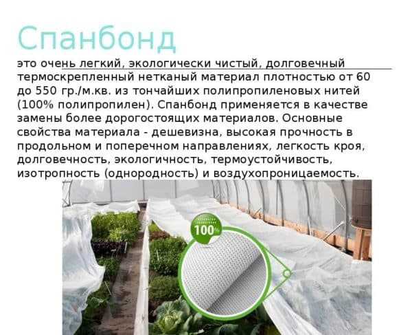 Учимся правильно использовать укрывной материал для клубники против сорняков