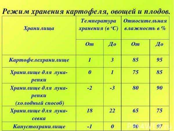 Что делать если подмерзли яблони