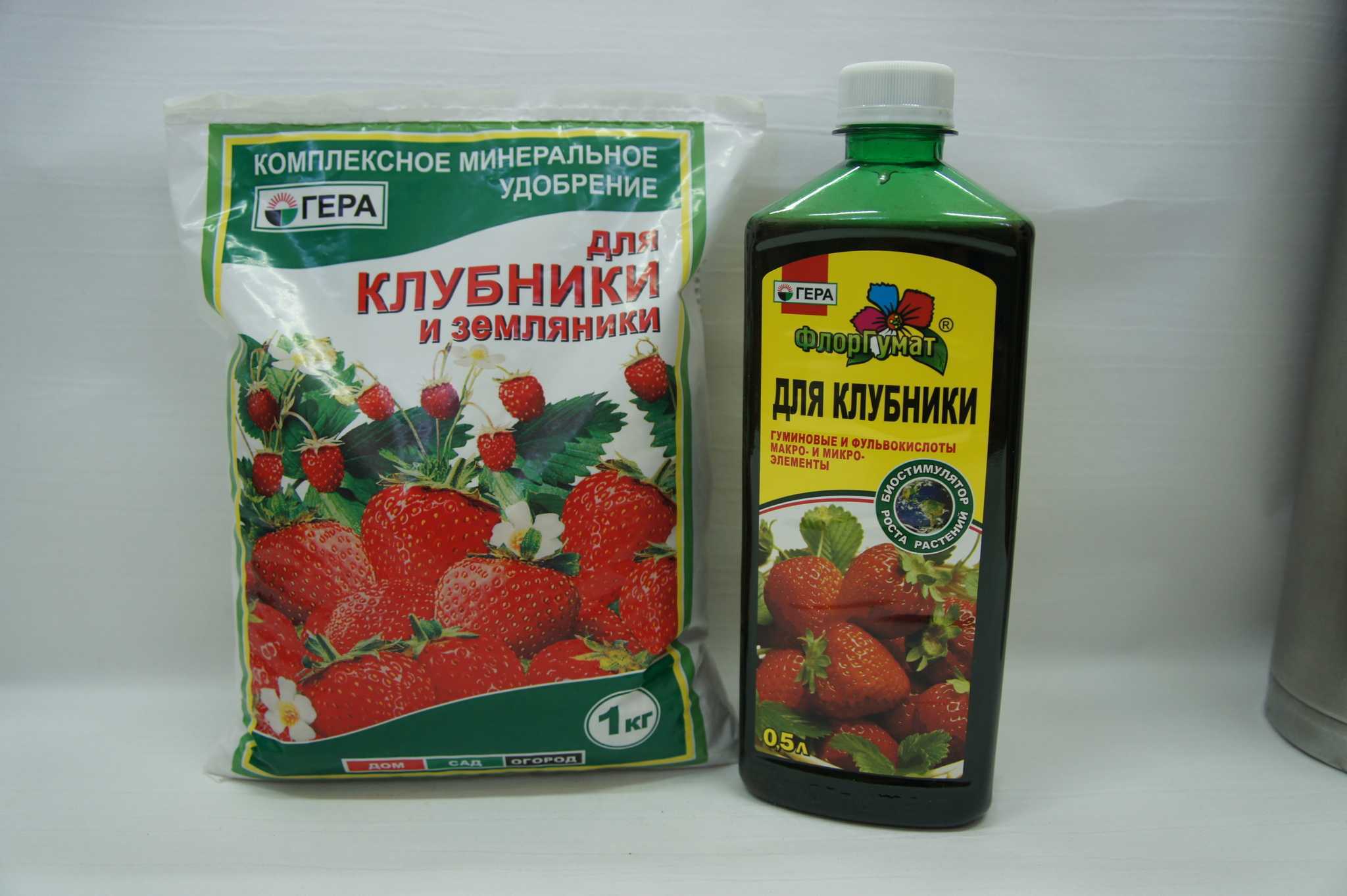 Подготовка грядки под клубнику летом (в августе) - дачные советы.ру