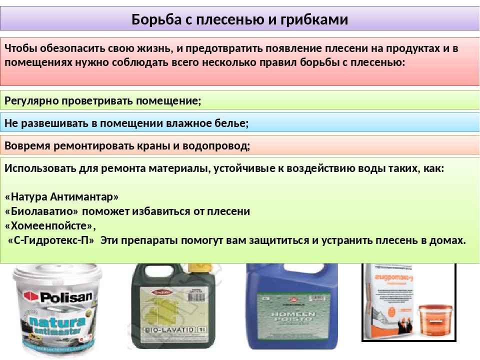 От чего появляется плесень в углах комнаты?