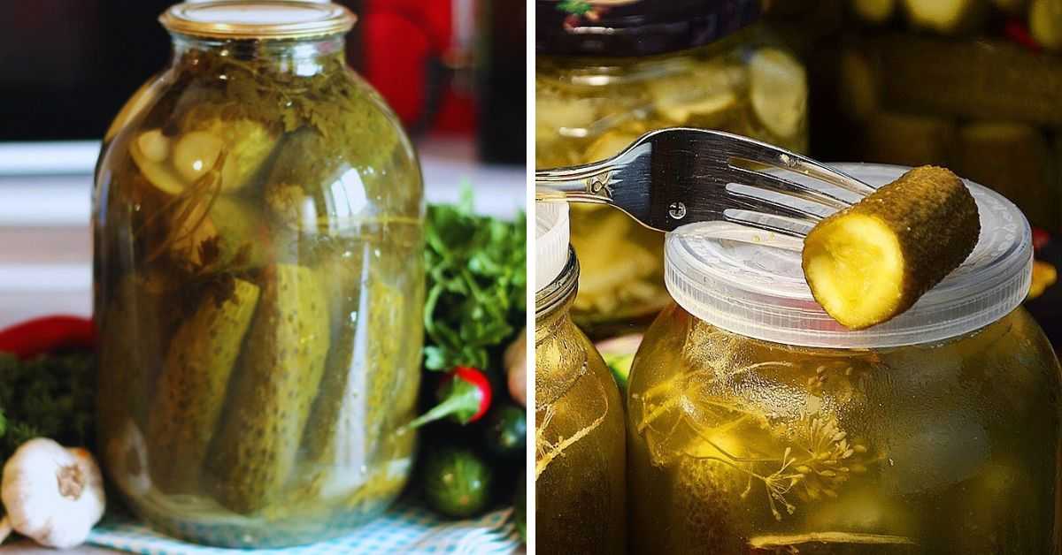 Хрустящие огурцы на зиму в банках — 10 самых вкусных рецептов