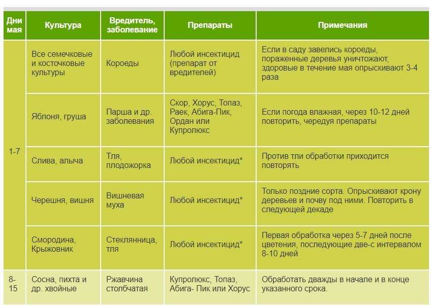 Калина — всё о выращивании . уход и обрезка. болезни и вредители. фото — ботаничка