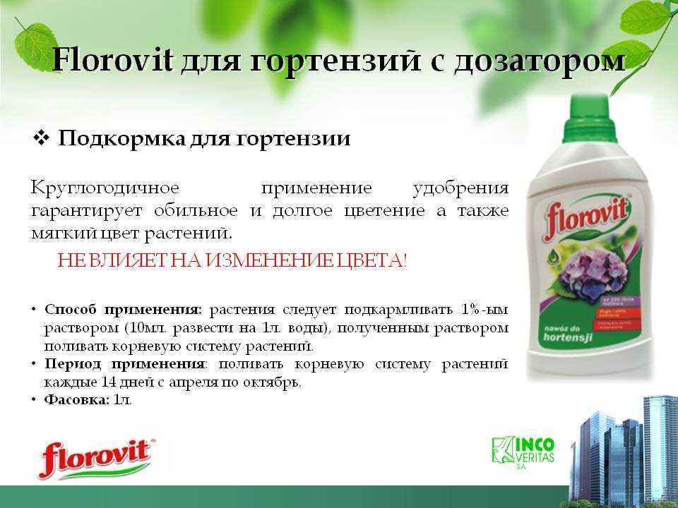 Чем подкормить герань для обильного цветения