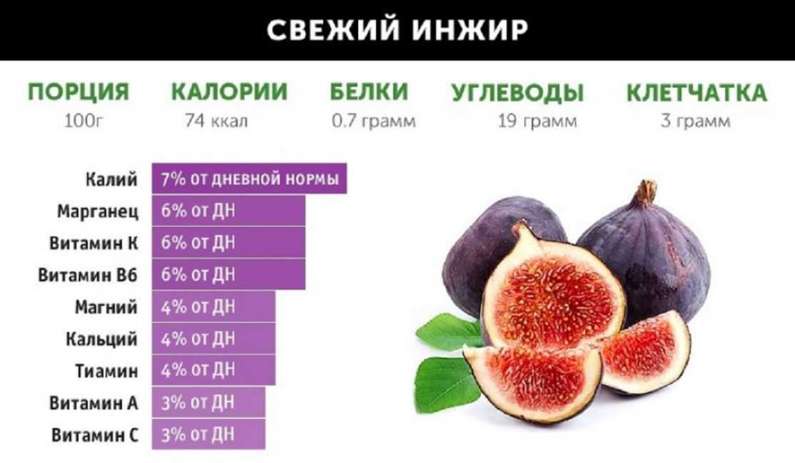 Инжир: польза и вред фрукта, каков на вкус, как едят, рецепты