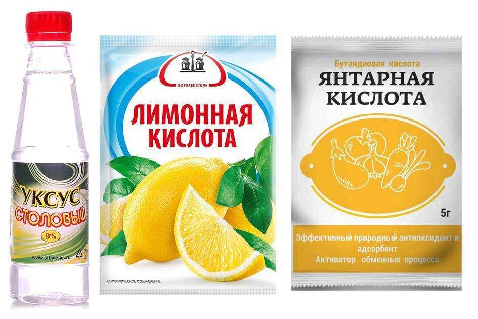 Клубника виктория: тонкости агротехники, секреты выращивания, советы по уходу