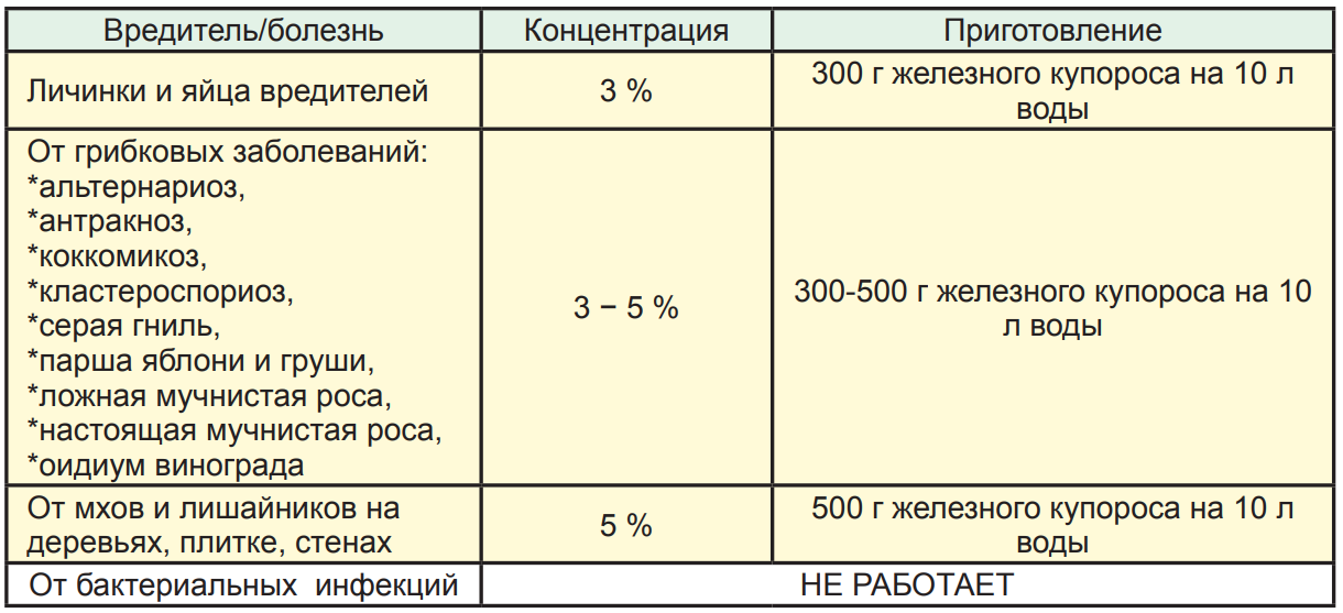 Как правильно использовать купорос в саду