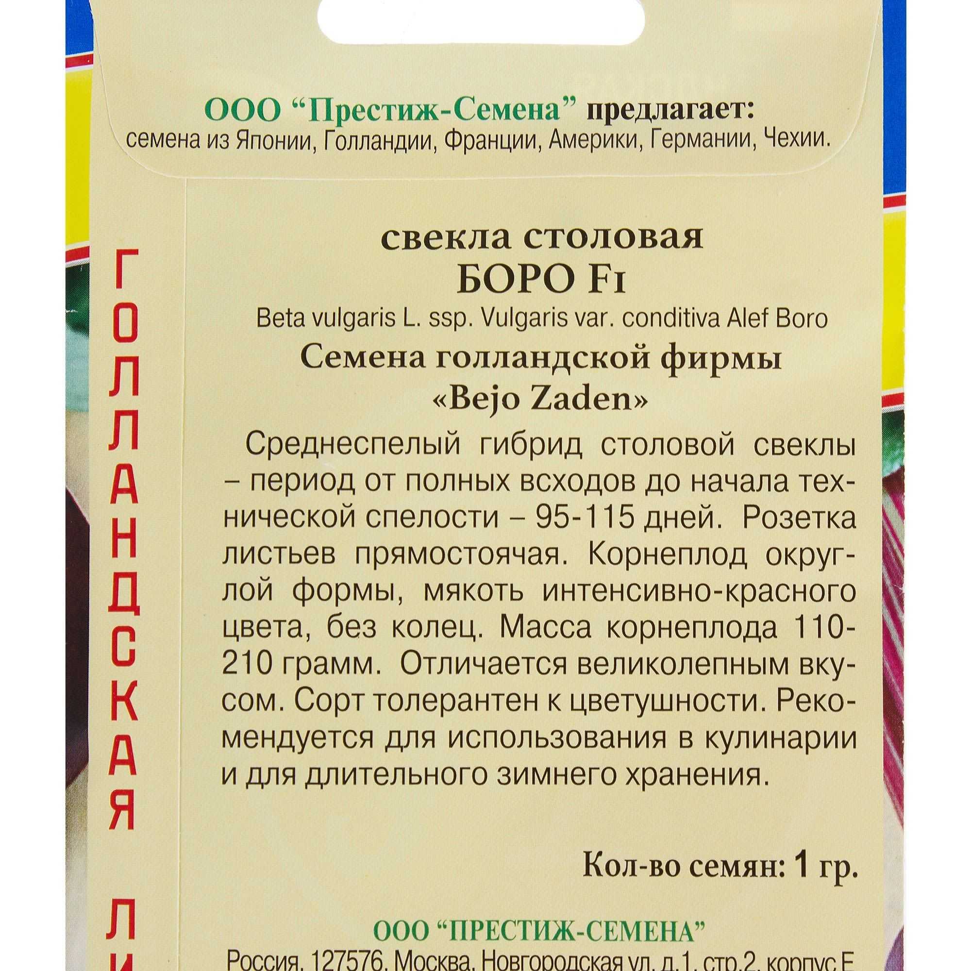 Свекла бордо: характеристика, описание сорта, фото, посадка и уход