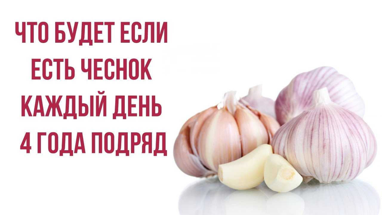 После редьки болит желудок: что делать, почему такое происходит, когда съели овощ, а также как вообще корнеплод влияет на жкт