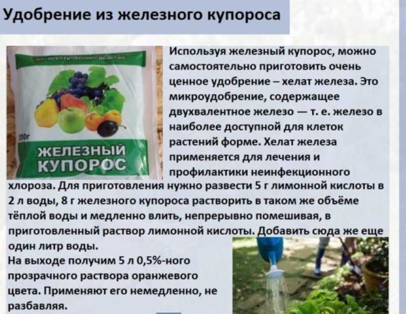 Медный и железный купорос: разница и правила применения