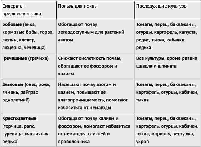 Удобрения-сидераты: что это такое, какие лучшие, под какие растения сеять, таблица сравнения