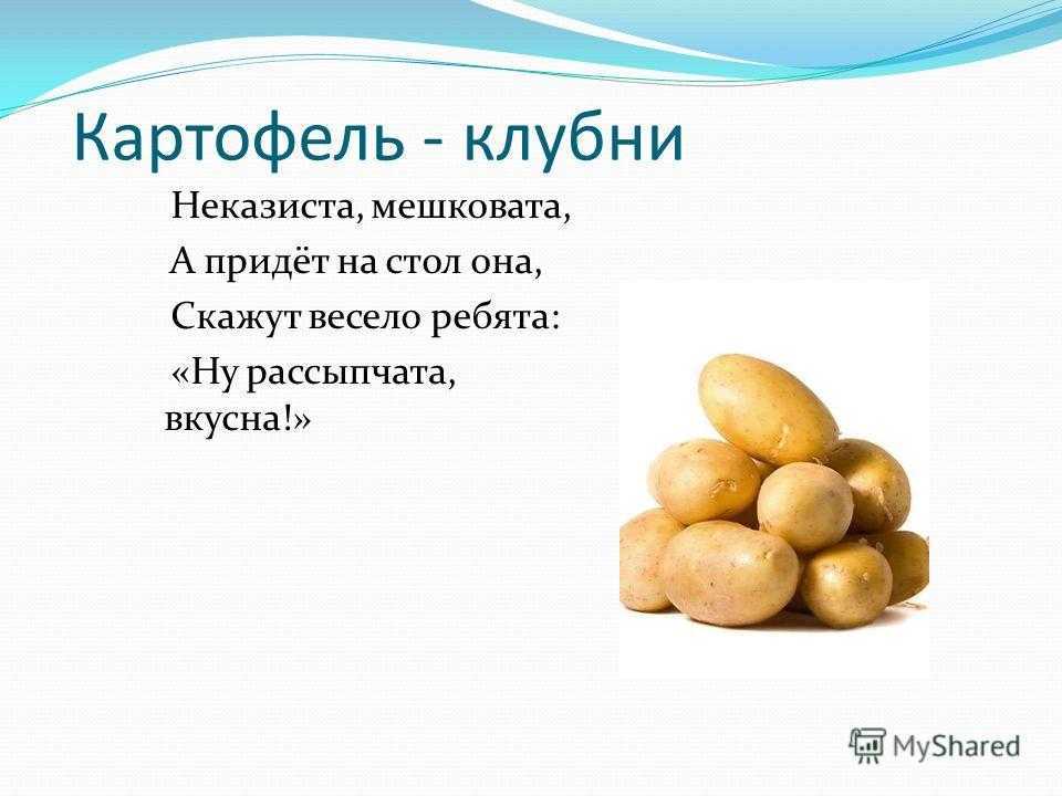 Почему картошка не варится: причины жесткости и способы решения проблемы